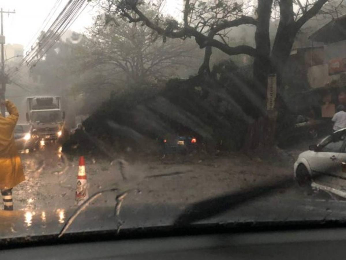 FOTOS: Caos, túneles inundados y destrucción deja fuerte lluvia en Tegucigalpa