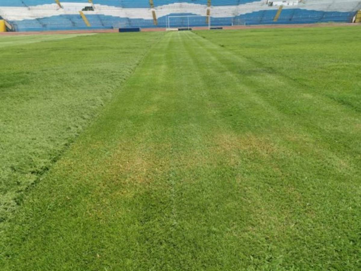 ¡El césped más verde! Así lucen los estadios de Honduras en esta cuarentena