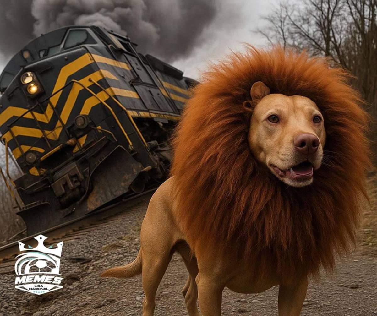 Los memes destrozan al Olimpia luego de caer ante Alajuelense y quedar fuera de la final de Copa Centroamericana