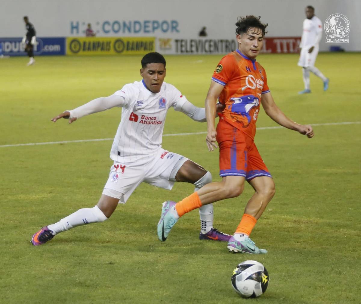 La nueva camada del León: el técnico Eduardo Espinel buscará consolidar a los jóvenes en el Olimpia