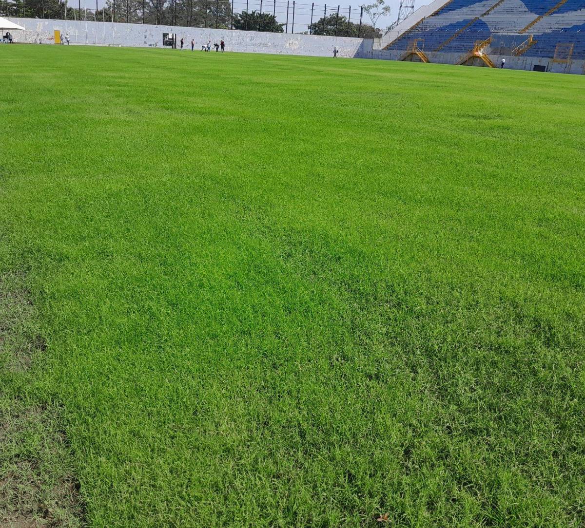 Estadio Morazán, en malas condiciones tras millonaria inversión: así de deteriorada luce la nueva cancha