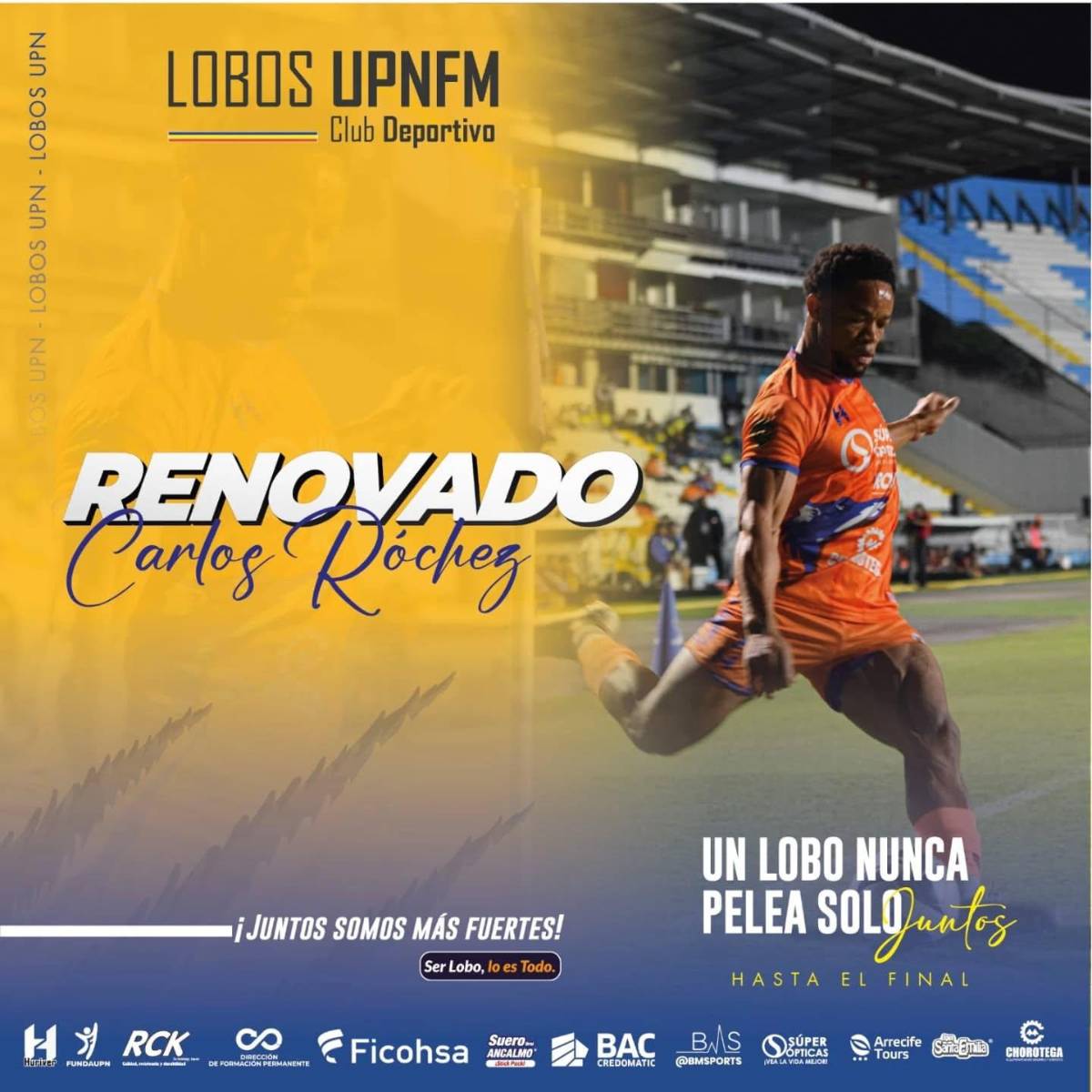 Fichajes en Honduras: Palma recibió aviso, Real España recuperó a jóvenes, club lanzó renovaciones, Juticalpa y Olancho con movimientos
