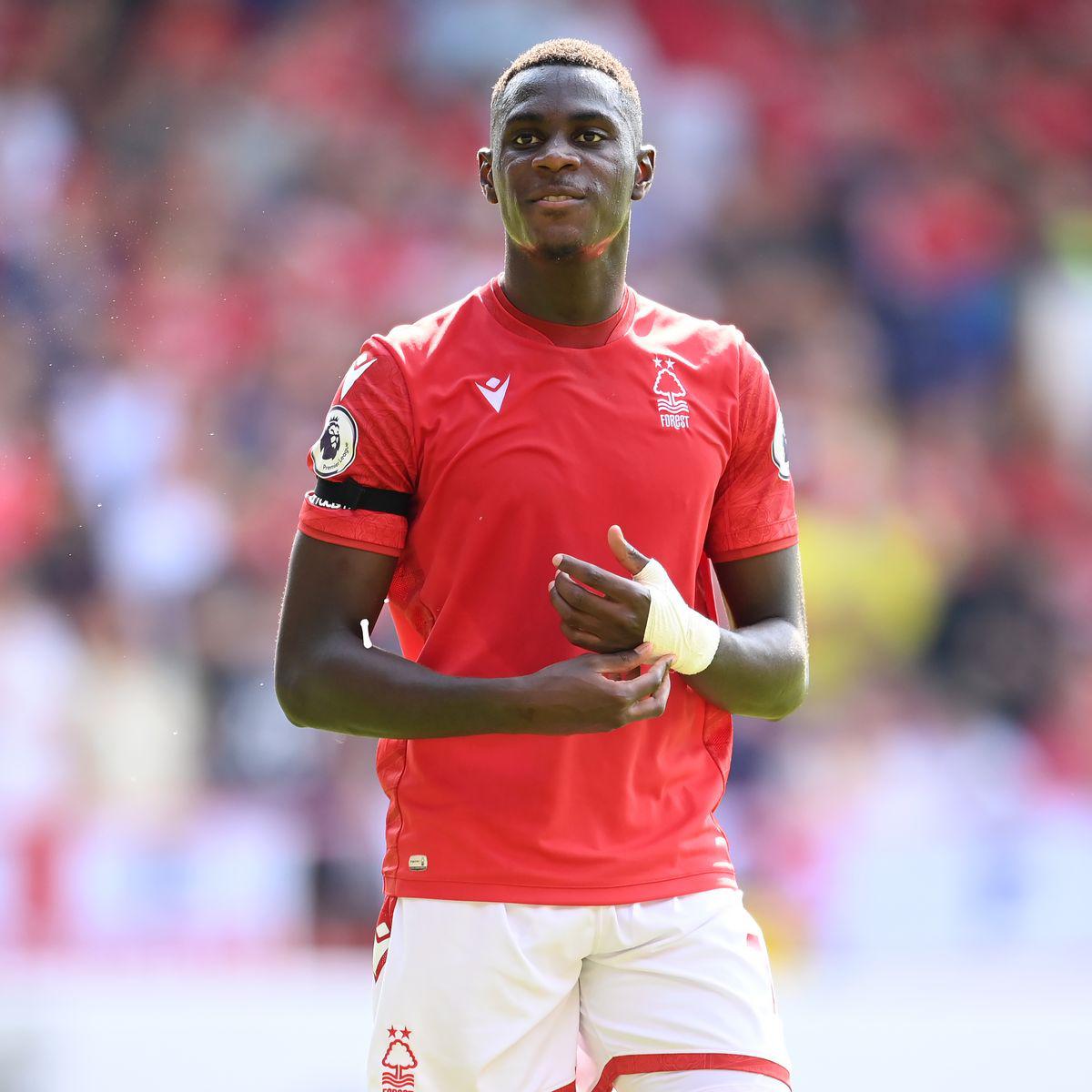 Brutal: los 30 fichajes que concretó el histórico Nottingham Forest desde que ascendió a la Premier League