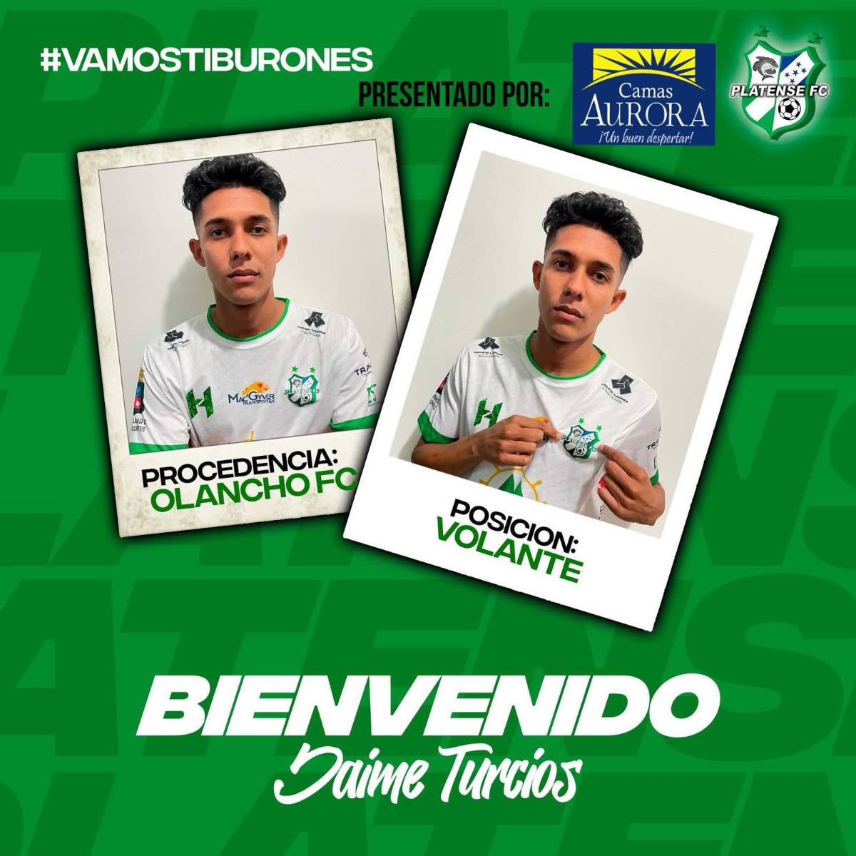 FICHAJES: Tres bajas más en Olimpia y otro jugador le dice a Troglio que se quiere ir; Motagua va por dos pesos pesados