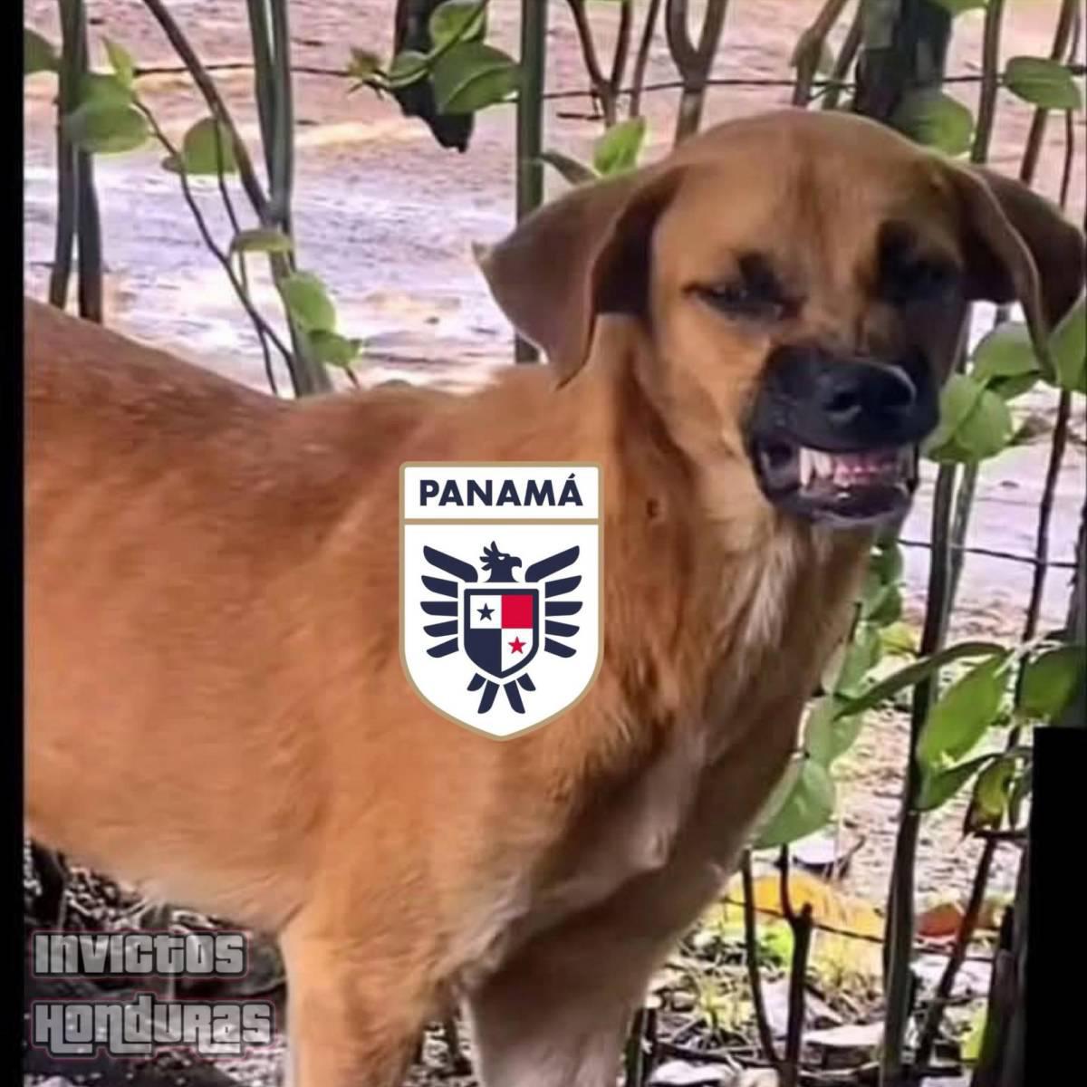ChepeBomba es víctima de burlas: los memes destrozan a Panamá tras ser eliminado por Honduras en Copa Oro