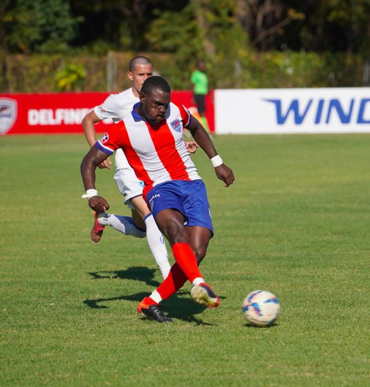 Mercado de fichajes: Olimpia anuncia llegada de su técnico, Motagua perdería su goleador y Marathón pasa la escoba