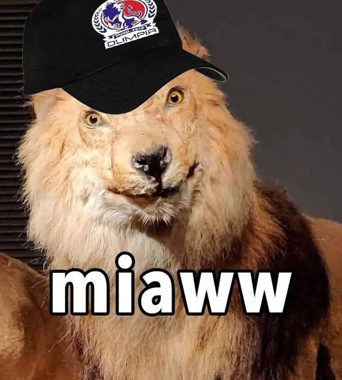 Los memes destrozan al Olimpia luego de caer ante Alajuelense y quedar fuera de la final de Copa Centroamericana