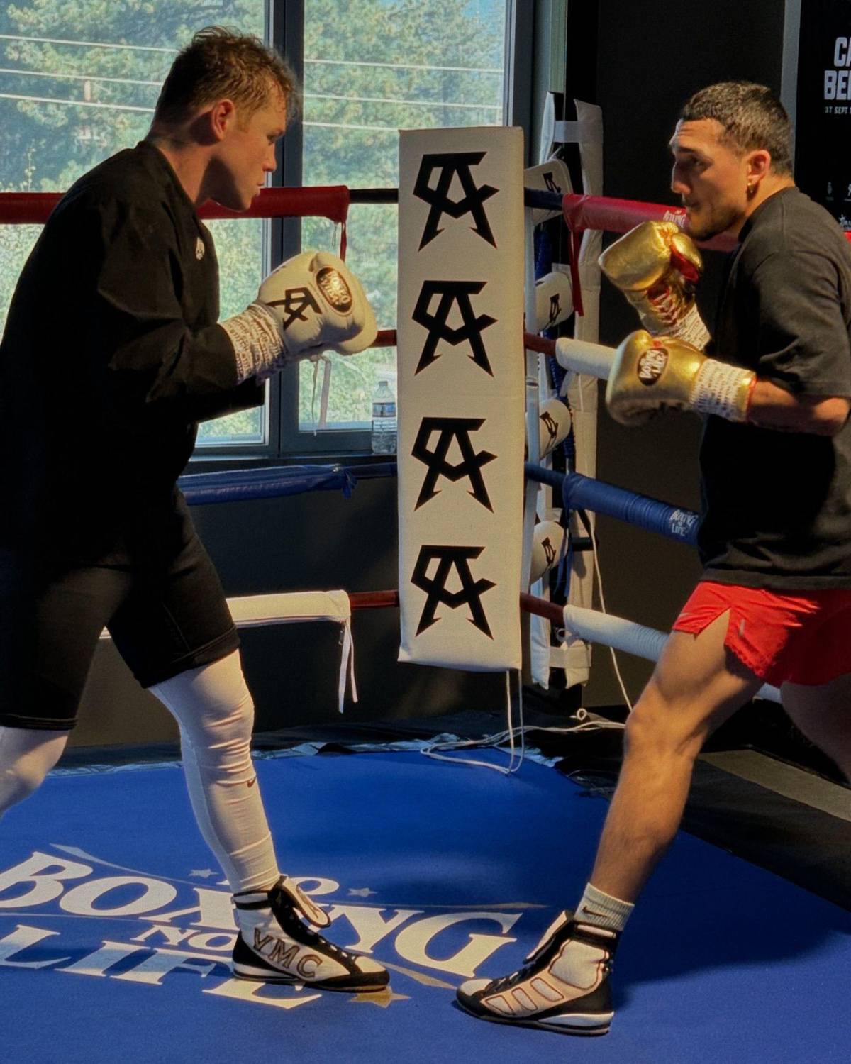 ¡Combate de lujo! El boxeador mexicano Canelo Álvarez se sube al ring con Teófimo López