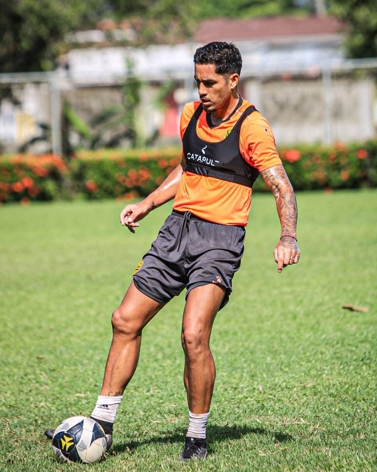 Los 36 extranjeros del Apertura 2024 de la Liga de Honduras: panameños sorprenden y hay empate de nacionalidades