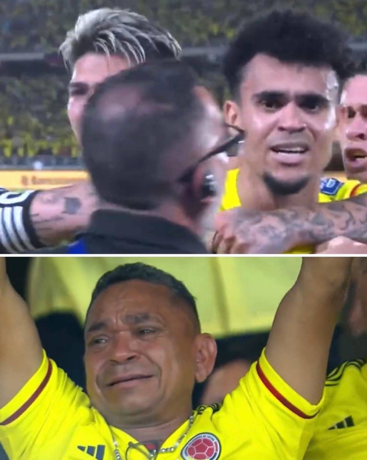 ¡La vida da revancha! Emotiva celebración del papá de Luis Diaz tras su doblete ante Brasil