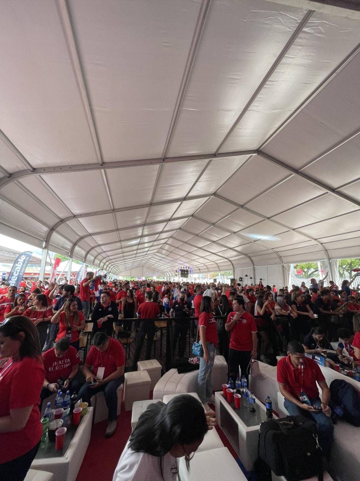 Tambores, bailes,  el pitbull disfrazado y mucha alegría en Costa Rica tras lograr su clasificación al Mundial de Qatar 2022