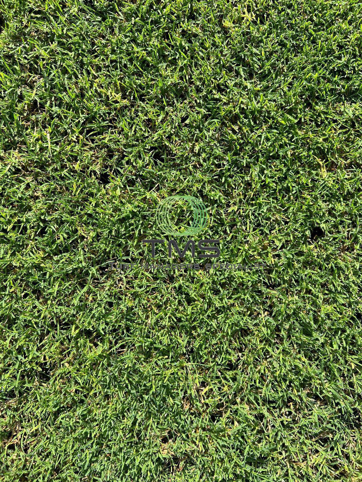 Ya hay fecha para jugar en la nueva grama del estadio Morazán: Así luce el recinto de San Pedro Sula