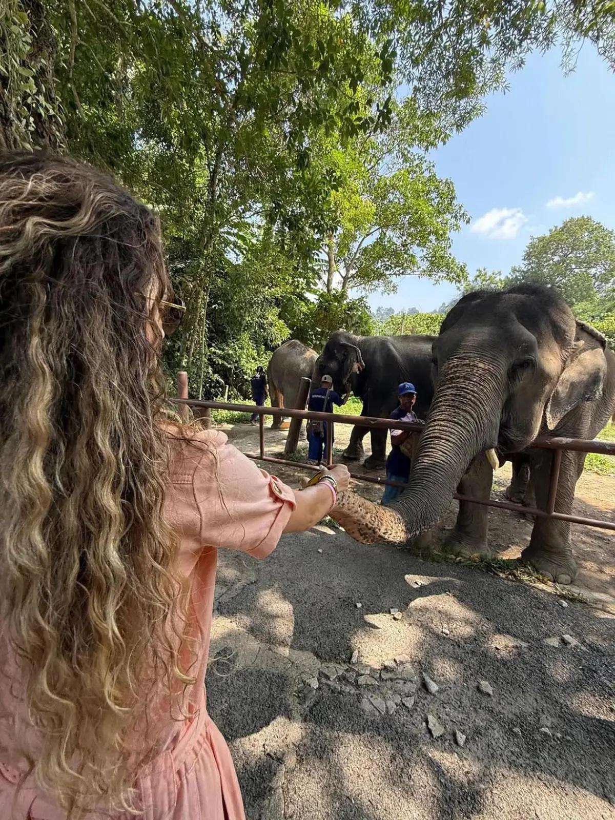 Así vive Rute Cardoso tras la muerte de su esposo Diogo Jota: a lo qué se dedica y la decisión que tomó con su hijos