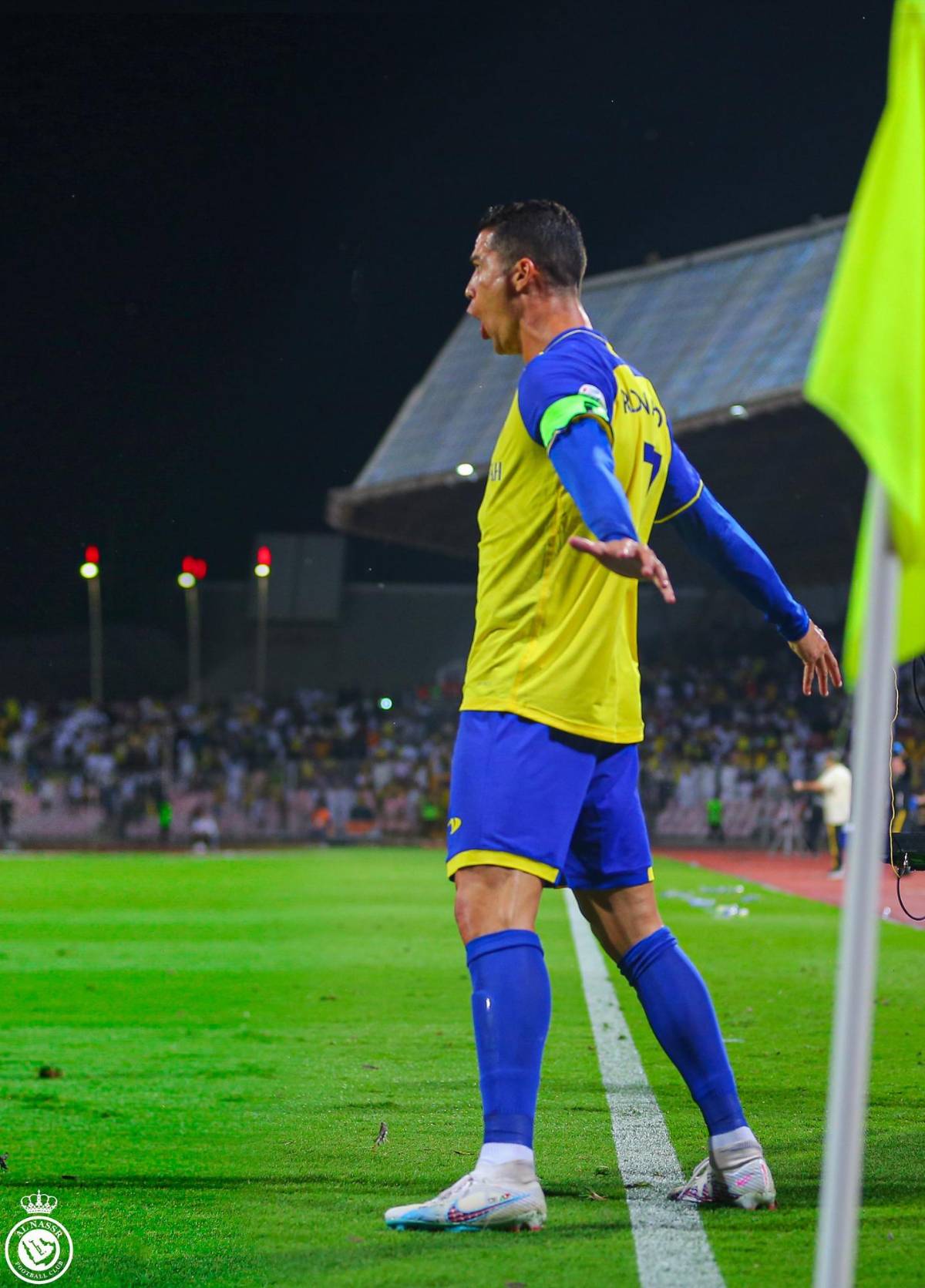 Lo que nadie vio del partido de Cristiano Ronaldo y ya se hizo viral: “Hasta los bichos quieren ver al Bicho... Es demasiado”