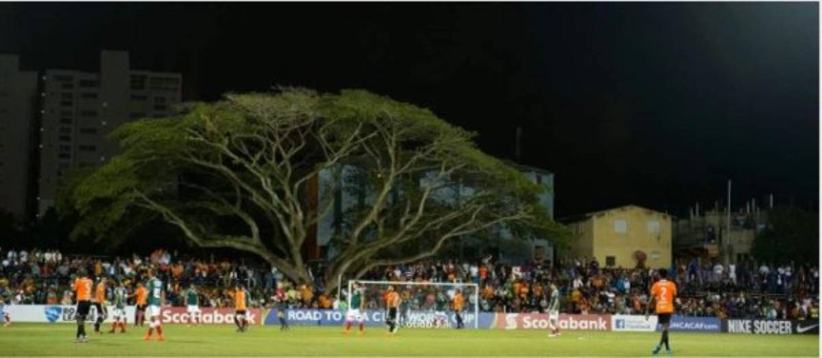 ¡Mágica combinación! Los estadios que mezclan la arquitectura y la naturaleza