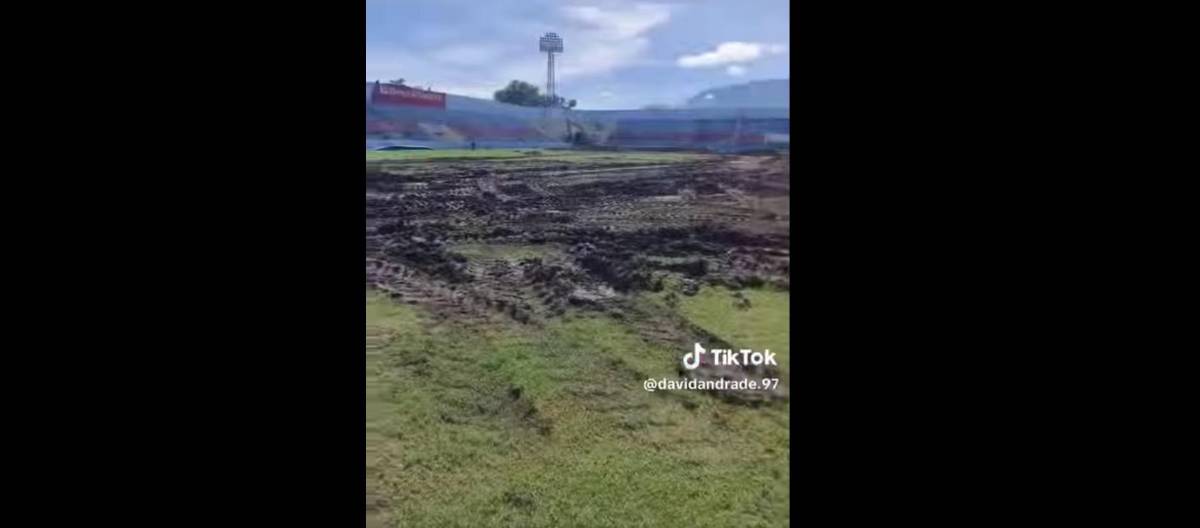 Así avanzan los trabajos de cambio de grama en el estadio Municipal Ceibeño ¿Cuánto es la inversión?