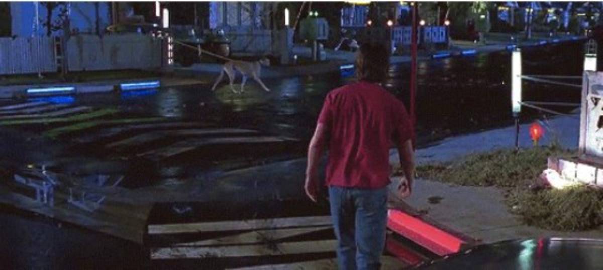 Estos son los aciertos y errores en las predicciones de 'Volver al Futuro'