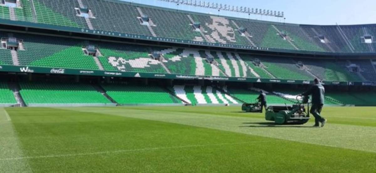 Una auténtica alfombra: Así es el Benito Villamarín sede de la final de la Copa del Rey
