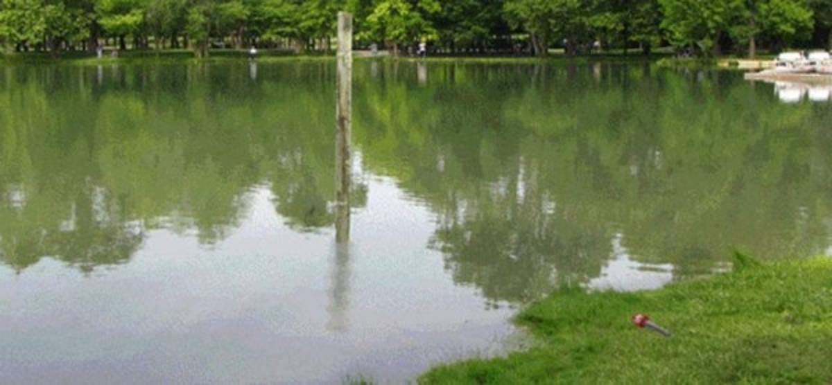 Cristiano Ronaldo, protagonista de los memes en la última semana