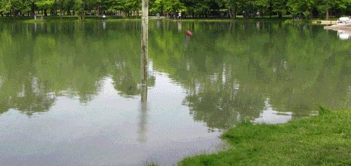 Cristiano Ronaldo, protagonista de los memes en la última semana