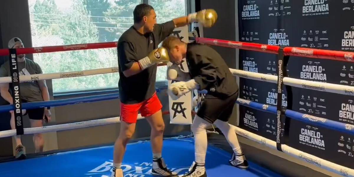 ¡Combate de lujo! El boxeador mexicano Canelo Álvarez se sube al ring con Teófimo López