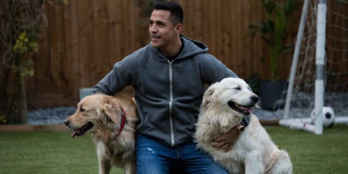 Día Mundial de los Animales: Ellos son el 'mejor amigo' de los grandes futbolistas