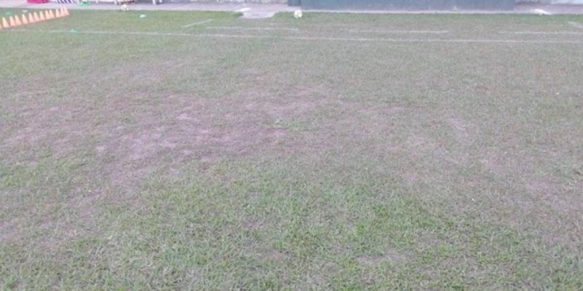 FOTOS: Así de descuidada está la cancha del estadio Juan Ramón Brevé