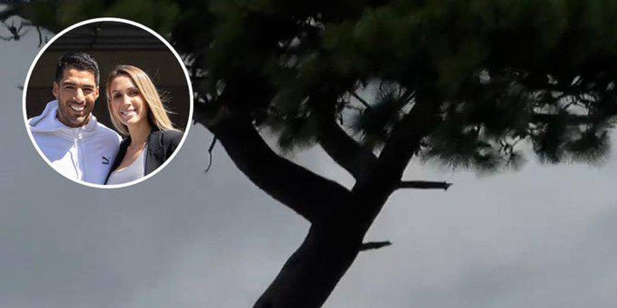 Quería quitarse la vida y Luis Suárez lo rescató: así fue el tenso momento y cómo se revirtió la fatal decisión