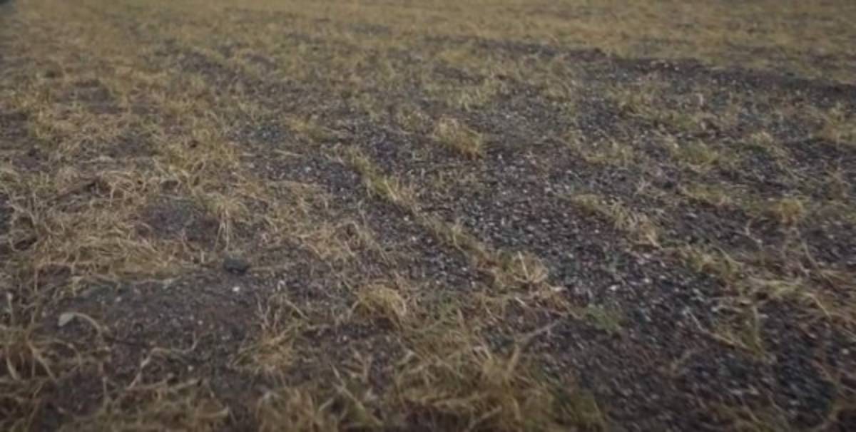 Olimpia muestra nuevas imágenes de cómo avanza la construcción de su sede