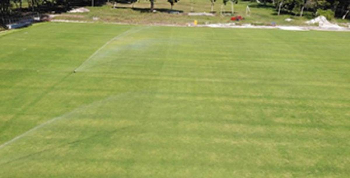 ¡Una mesa de billar! Es considerada como una de las mejores canchas de grama natural en San Pedro Sula