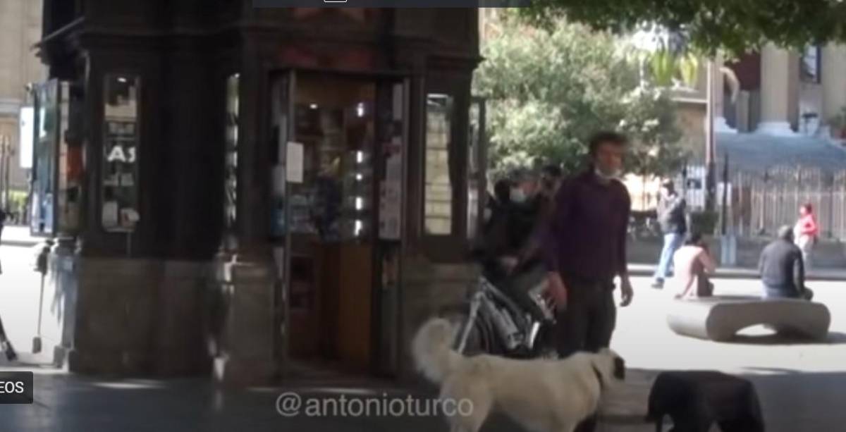 De futbolista profesional en Italia a vivir en la calle solo, enfermo y desnutrido; su primo fue héroe en un Mundial