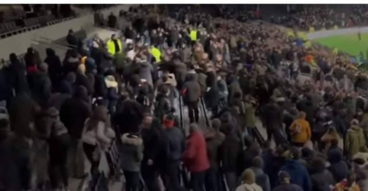 Escándalo: Eric Dier, jugador del Tottenham, sube a la grada y se va a los golpes con un hincha