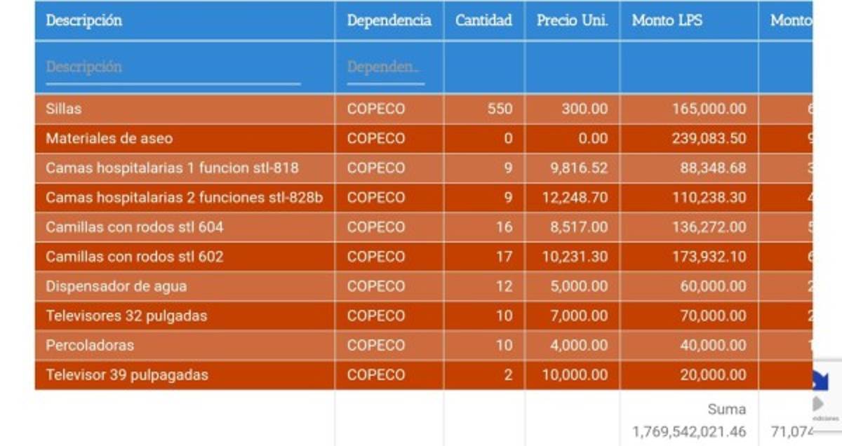 Polémicas compras de Copeco en emergencia de coronavirus; ministra pide aclaración