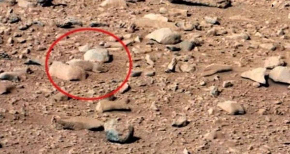 Seres extraños, 'huesos humanos' y animales: la NASA toma perturbadoras imágenes en Marte
