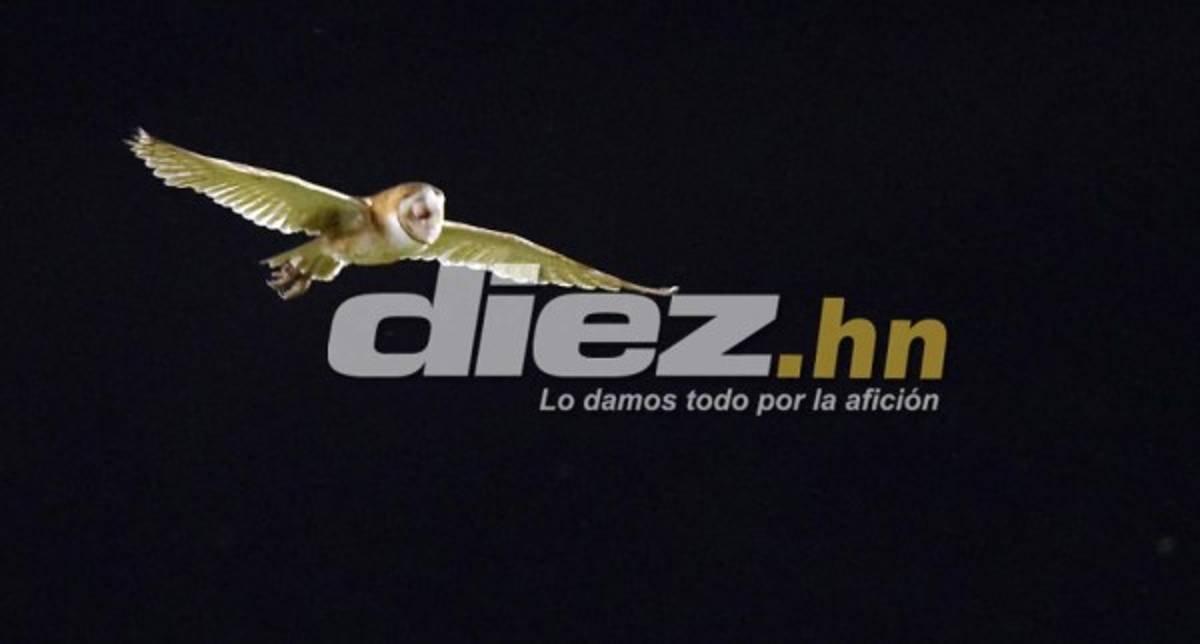 Las imágenes que la televisión no mostró del Honduras-Trinidad y Tobago