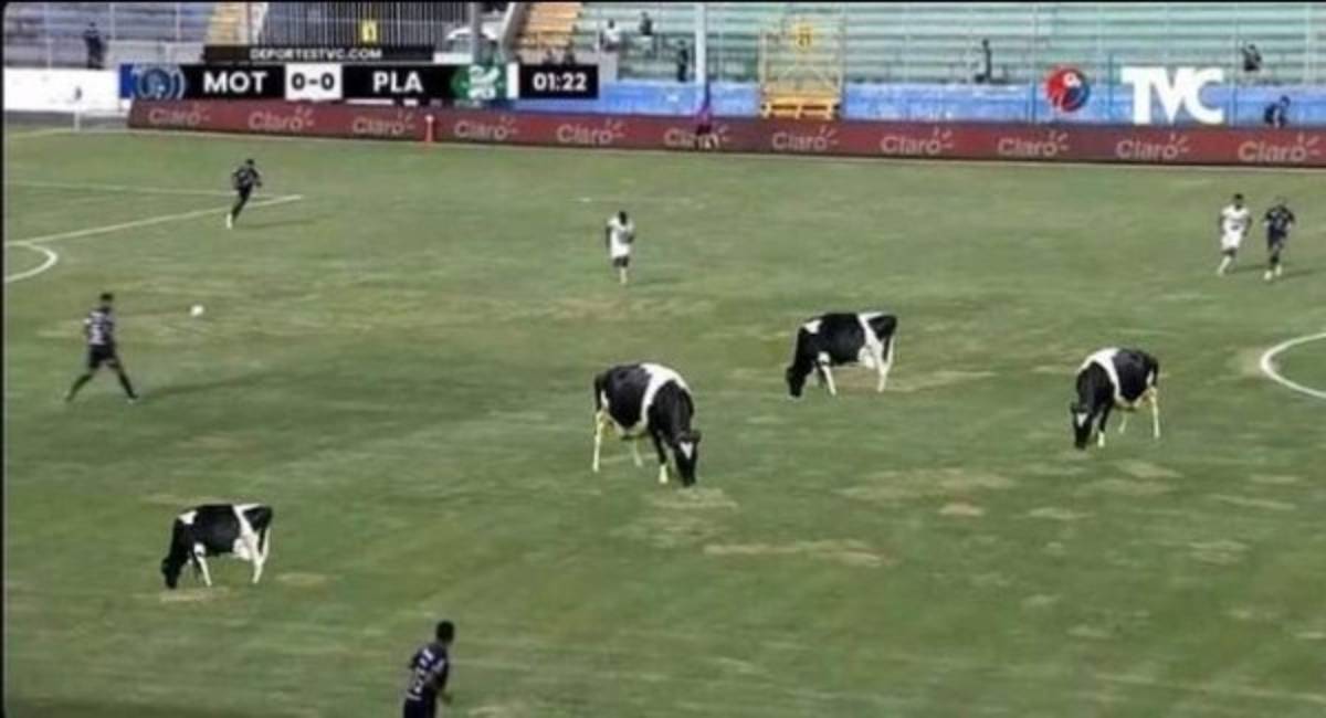 Los crueles memes que dejó la jornada uno de la Liga Nacional con Olimpia de protagonista