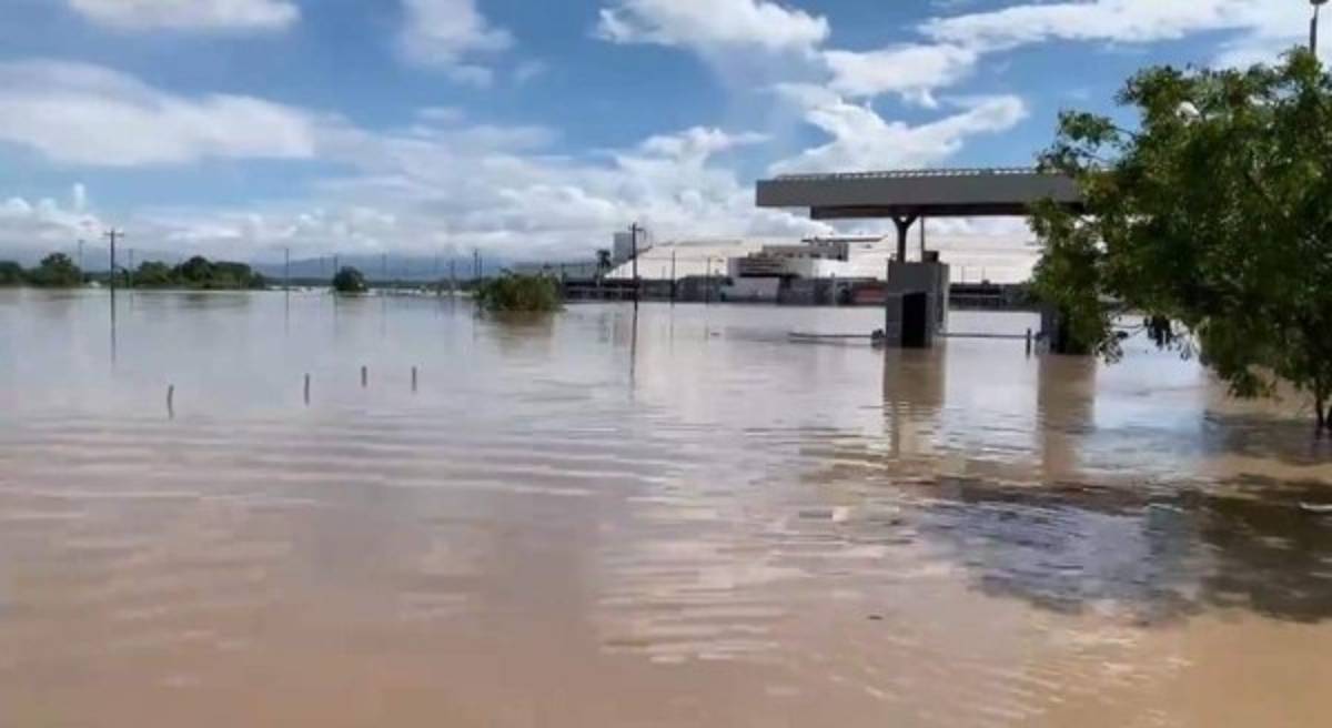 Impactante: El dramático rescate de hondureños que estaban en un árbol tras el paso de Iota