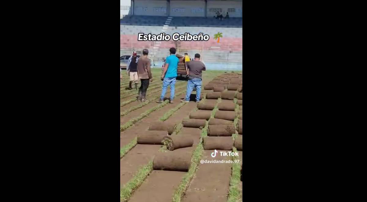 Así avanzan los trabajos de cambio de grama en el estadio Municipal Ceibeño ¿Cuánto es la inversión?