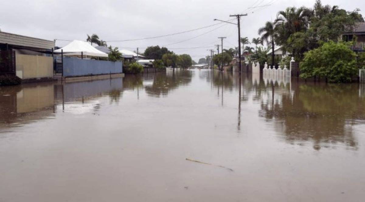 Cocodrilos en las calles: Las imágenes de las devastadoras inundaciones en Australia