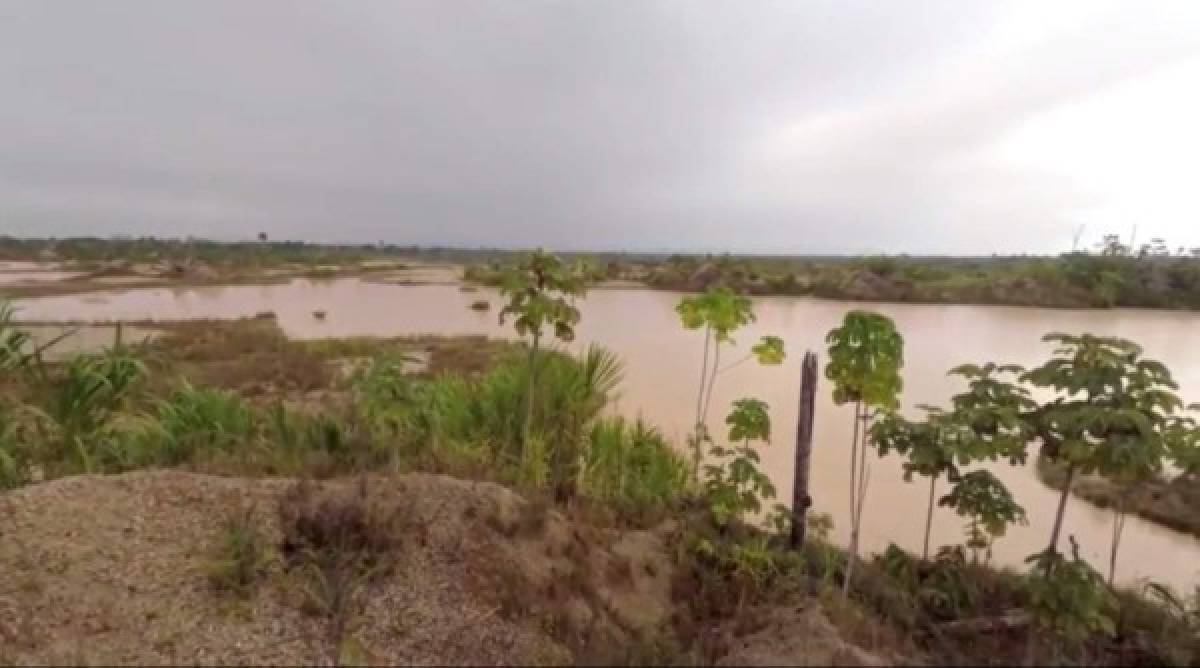 'Ríos de Oro': Las imágenes de la NASA revelan la destrucción de la minería ilegal en la Amazonia