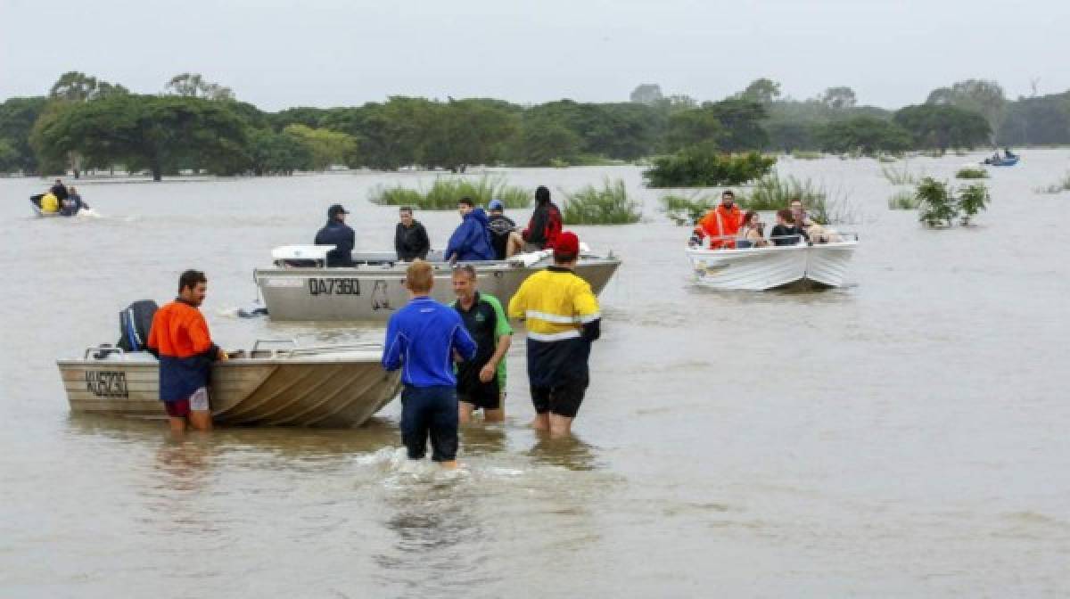 Cocodrilos en las calles: Las imágenes de las devastadoras inundaciones en Australia