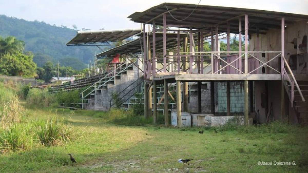 Jugadores del Tela FC dejan el balón a un lado y comienzan a limpiar el estadio Alfredo León Gómez