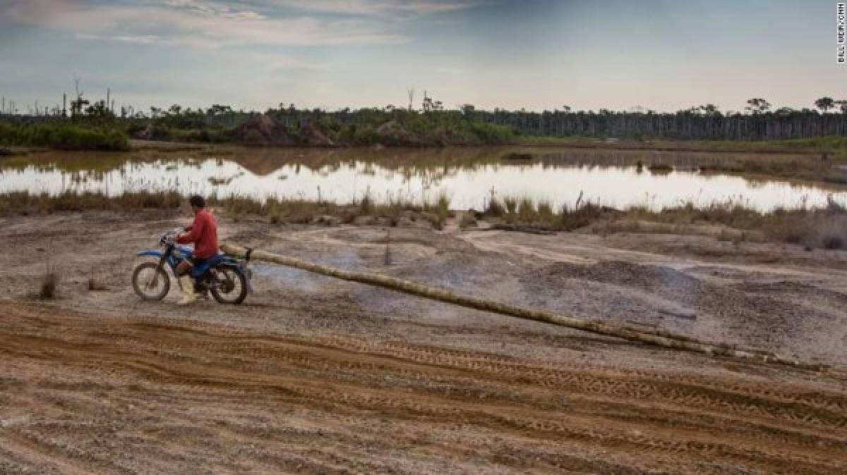 'Ríos de Oro': Las imágenes de la NASA revelan la destrucción de la minería ilegal en la Amazonia