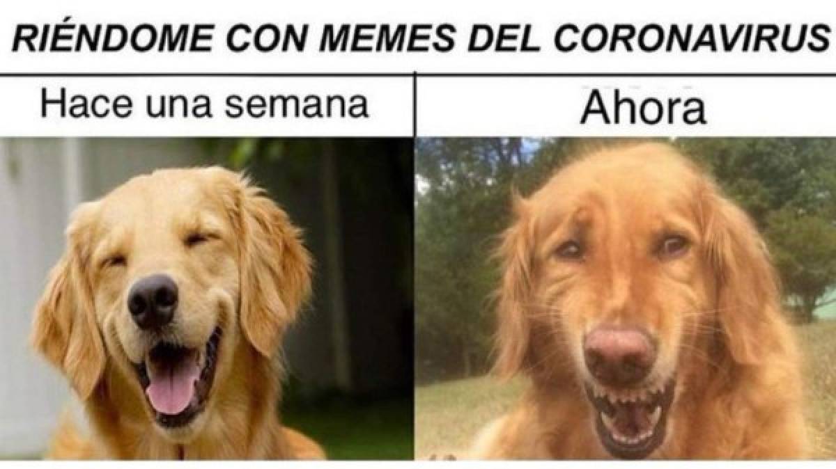 Memes en tiempos de coronavirus: Así se divierten las personas en redes sociales