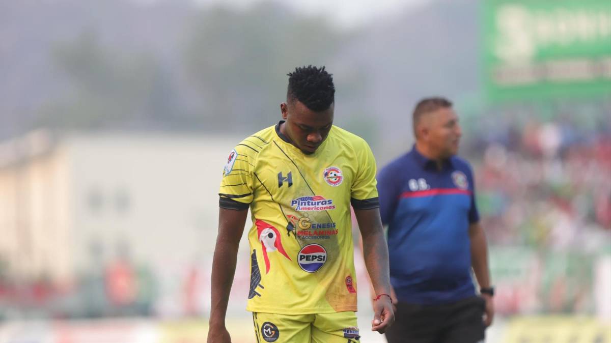 ¡Locura en el Yankel! Afición de Marathón estalla tras el pase a la final, ‘Chelito’ al borde de las lágrimas y el invitado de lujo