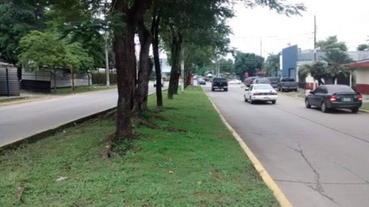 Los 13 barrios y colonias de San Pedro Sula donde se han confirmado casos de coronavirus