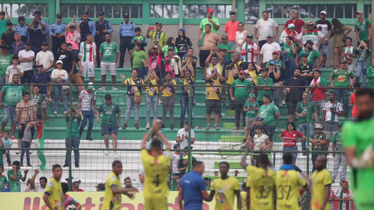 ¡Locura en el Yankel! Afición de Marathón estalla tras el pase a la final, ‘Chelito’ al borde de las lágrimas y el invitado de lujo