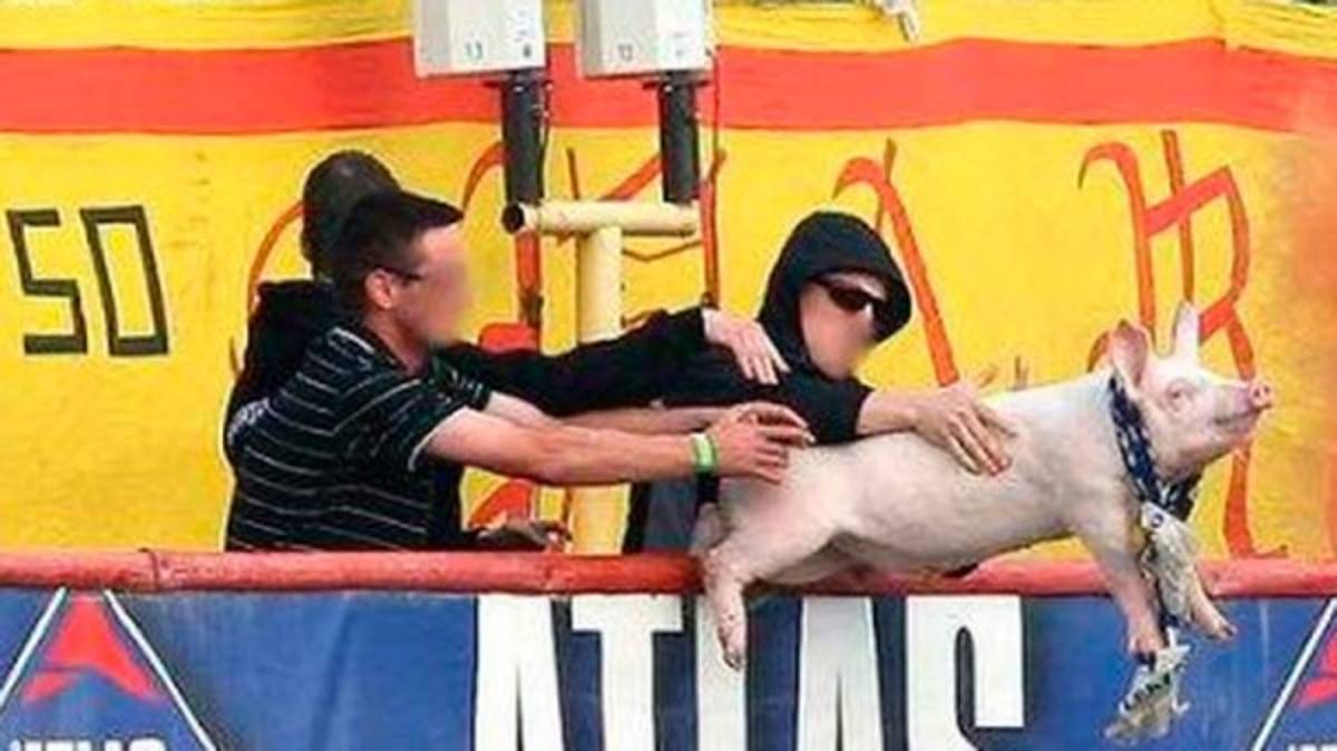 Las 10 cosas más raras lanzadas por los aficionados a un campo de fútbol