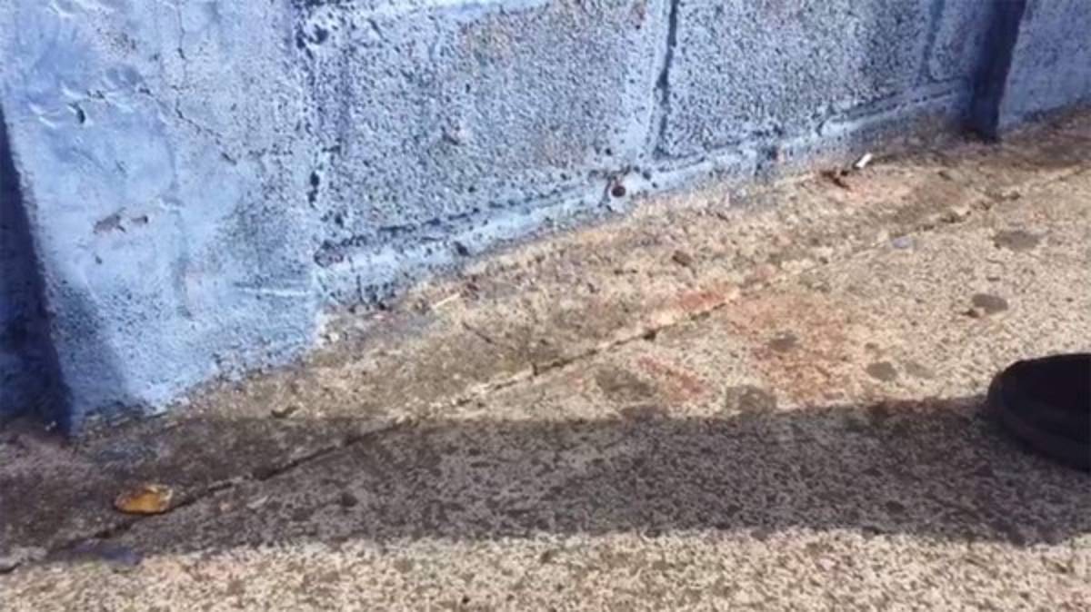 Estadio Nacional: Las recomendaciones de Copeco y reparaciones que se le harán