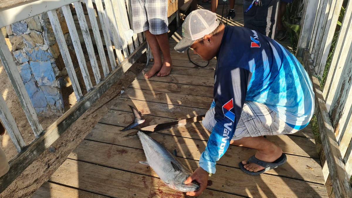 Así fue el primer día del Torneo Internacional de Pesca 2023 en Roatán ¿Qué tipo de peces atraparon?